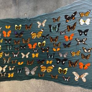813 Ottotredici Butterfly Scarf